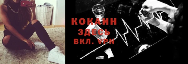 гашик Карпинск