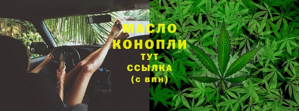 гашик Карпинск