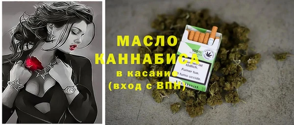 гашик Карпинск